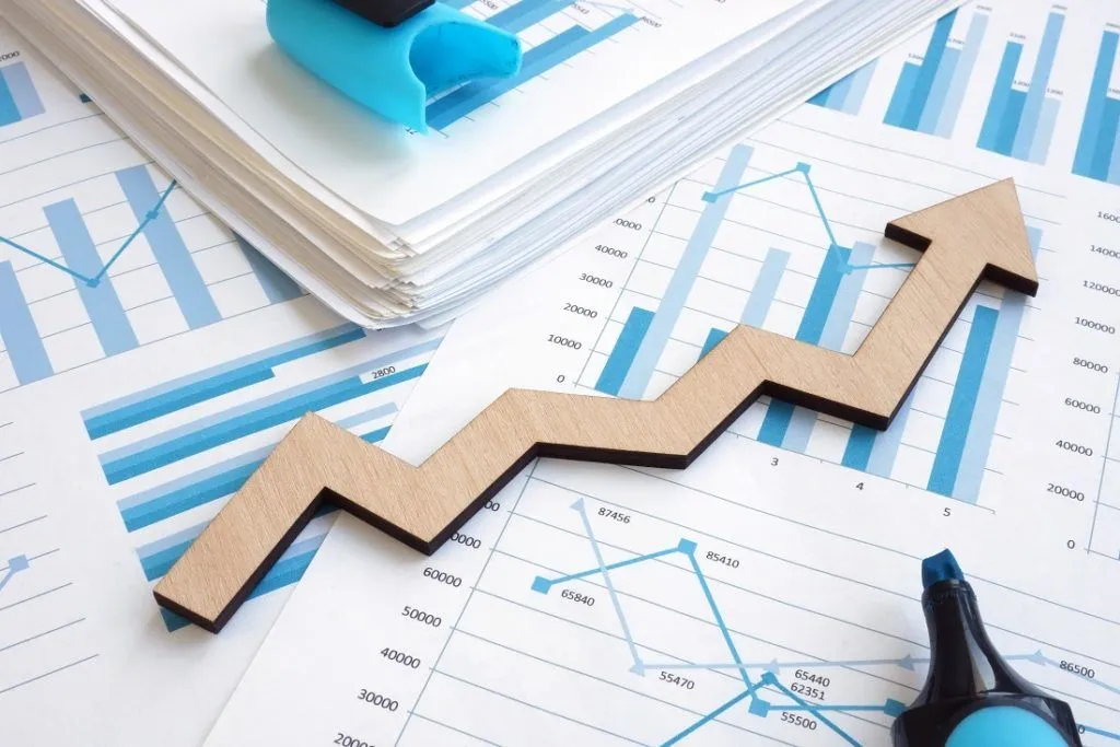 BA Developmental Economics